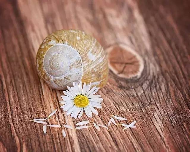 如何让自己心情放松_(如何让自己心情平静)