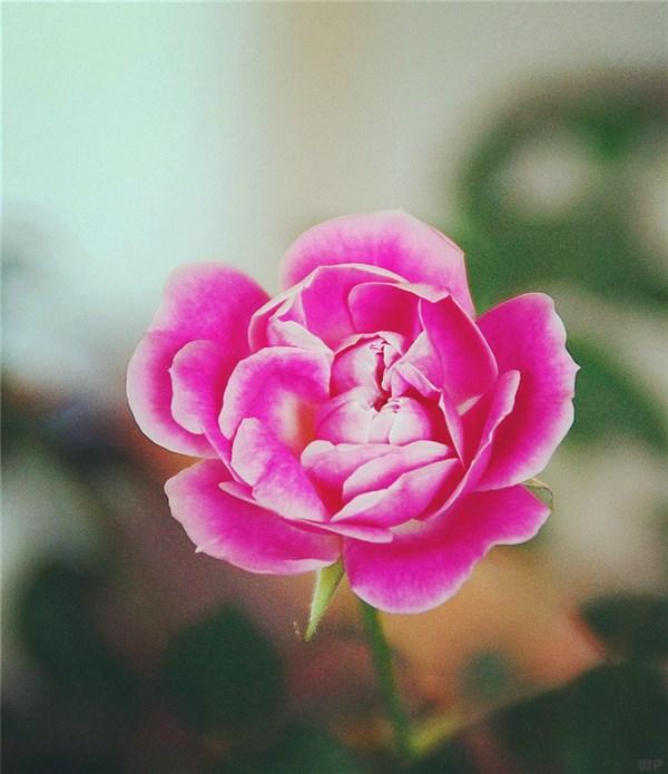 励志正能量短句子