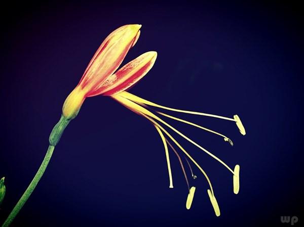 学生励志语录经典短句