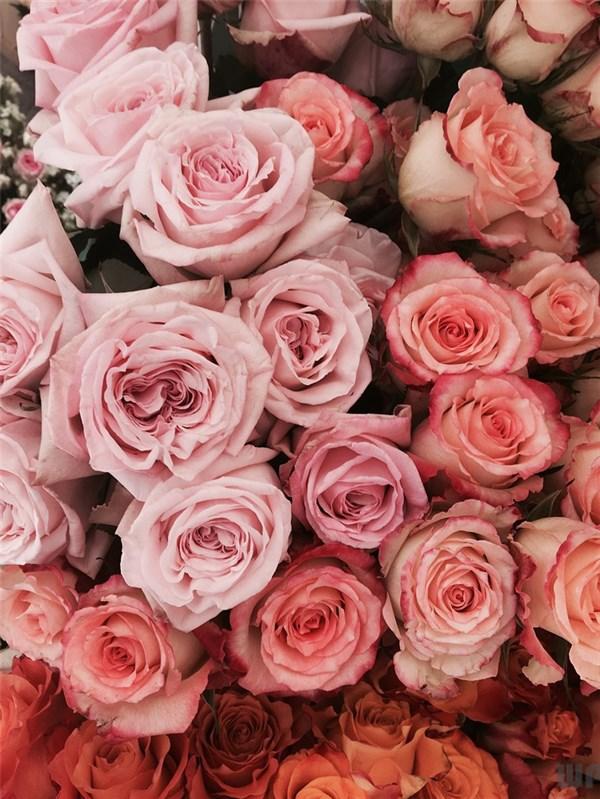 学生励志语录经典短句