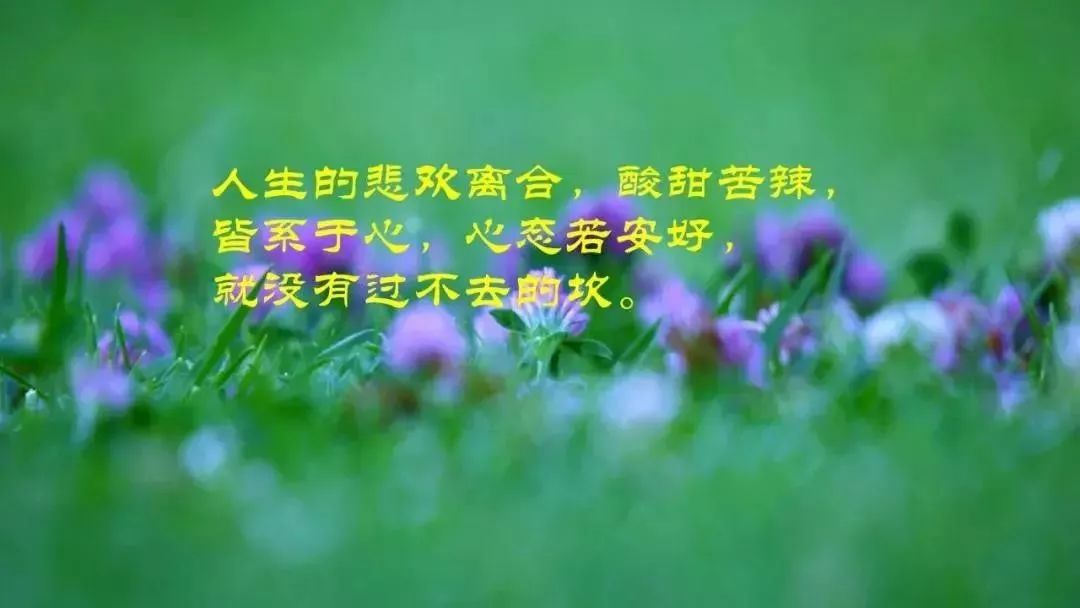 经典语录励志50字_(50句作家经典励志语录)