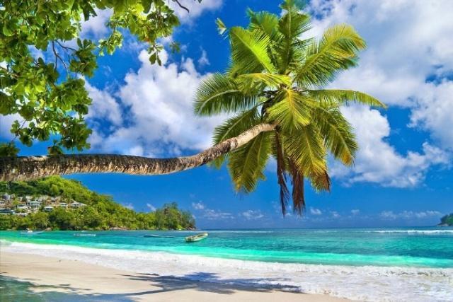 感动的励志句子