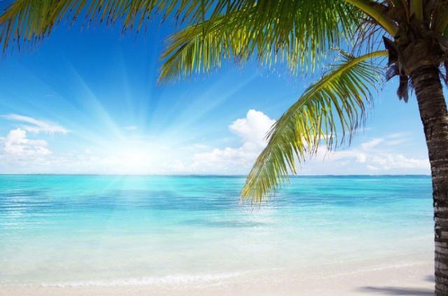 感动的励志句子