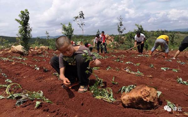 德馨励志学校的学费 德馨励志学校的学费