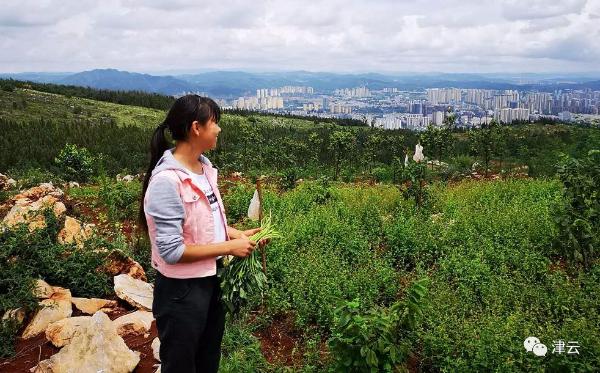 德馨励志学校的学费 德馨励志学校的学费