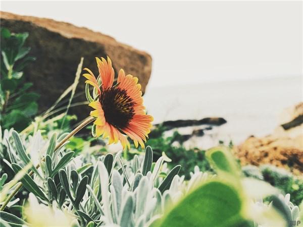 奋斗激发人心励志早安正能量