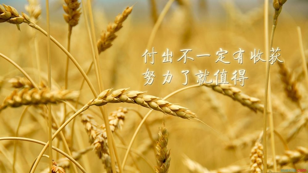 好听的励志句子唯美短句(鼓励高三学生拼搏的话)