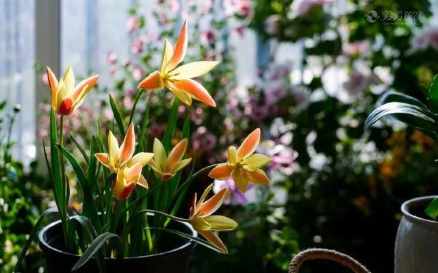 致自己很喜欢的早安句子,简短精悍,挑一句发朋友圈