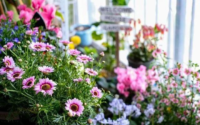 致自己很喜欢的早安句子,简短精悍,挑一句发朋友圈