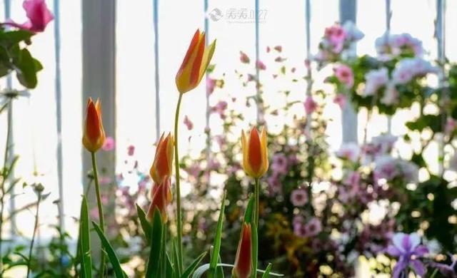 致自己很喜欢的早安句子,简短精悍,挑一句发朋友圈