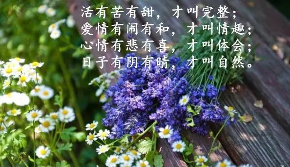 人生苦难经典句子大全_(人生磨难与坎坷的句子)