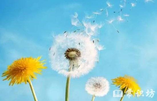 人生苦难经典句子大全_(人生磨难与坎坷的句子)