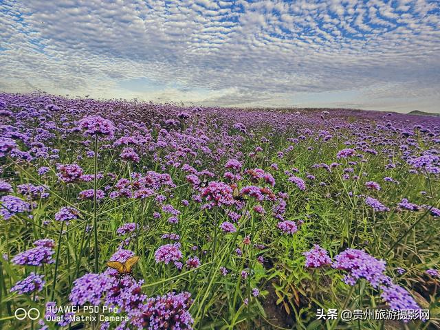 简单一日游发朋友圈 简单一日游发朋友圈