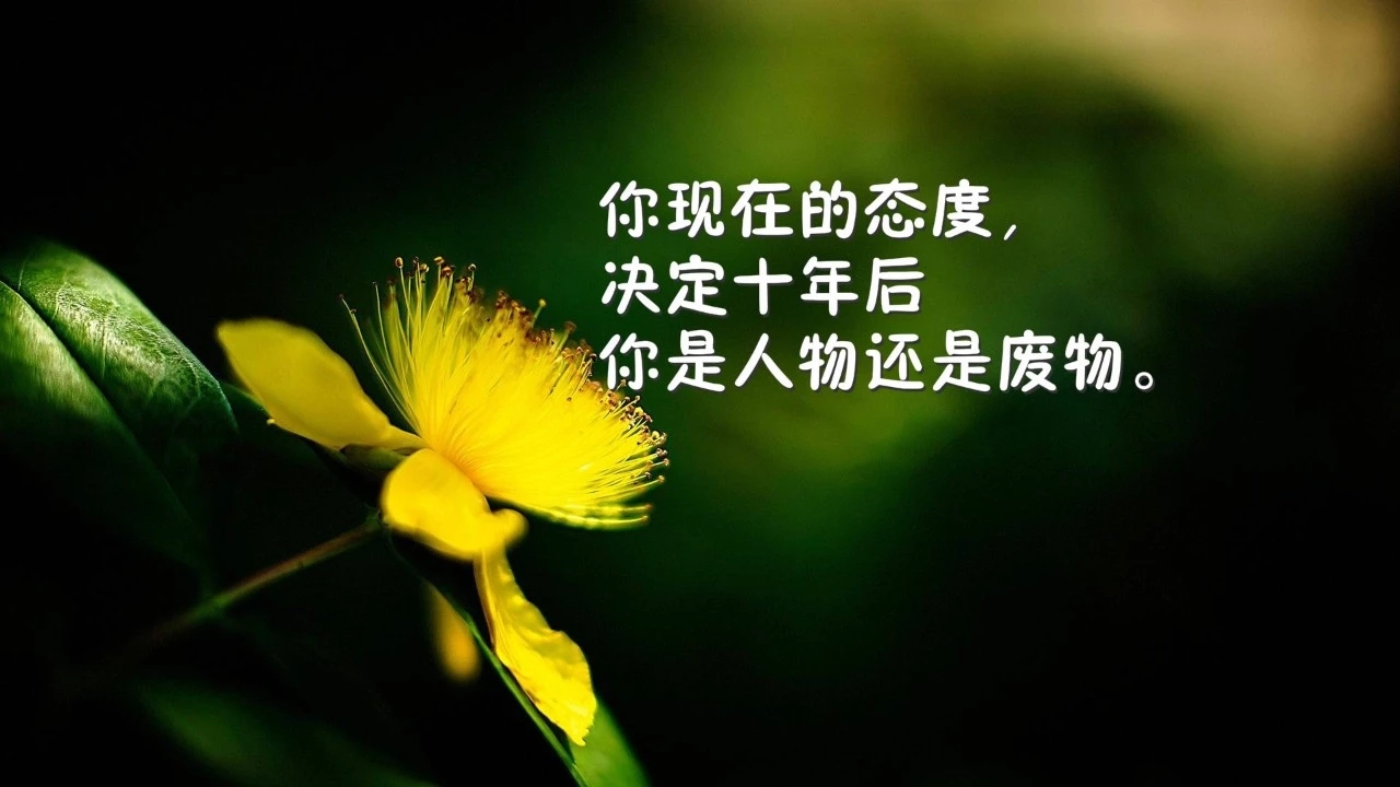 激励上进正能量句子图片【阳光图片正能量】