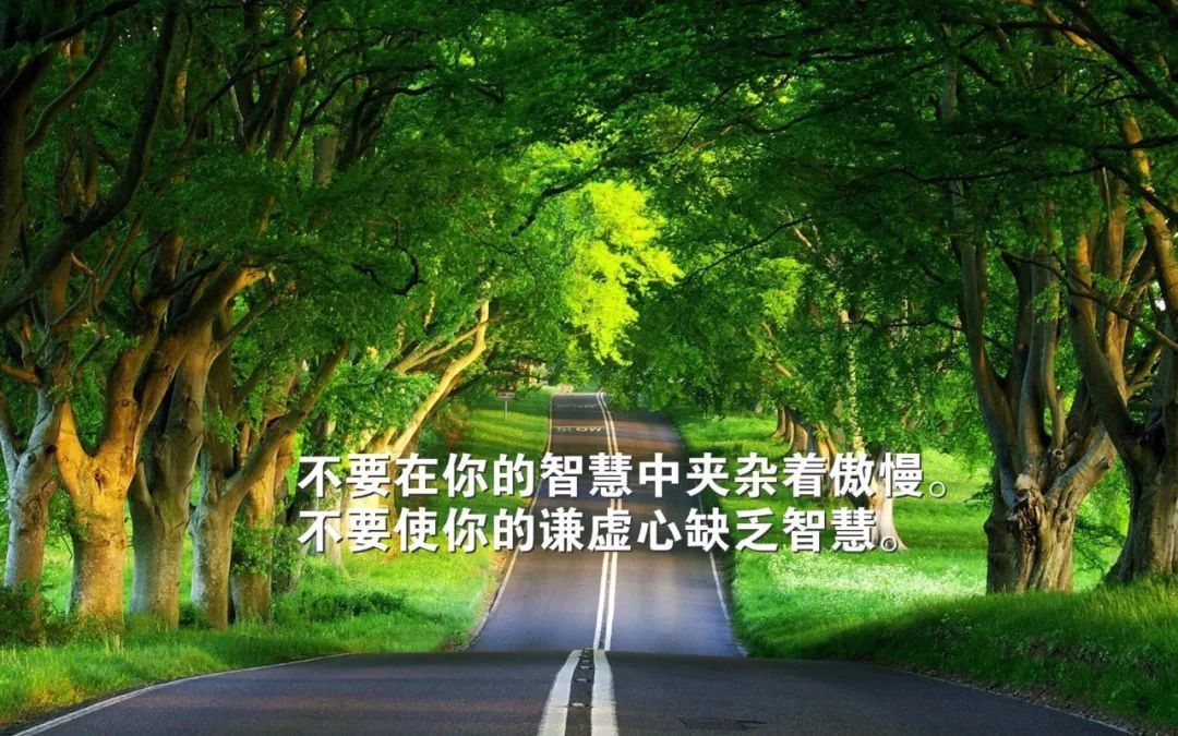 激励上进正能量句子图片【阳光图片正能量】