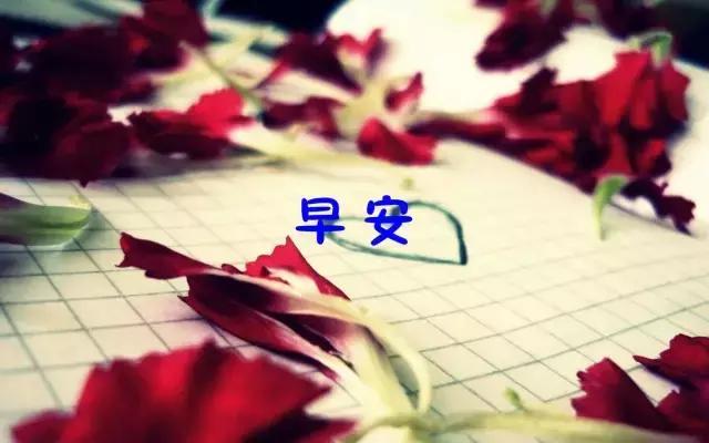 女性励志句子霸气 女性励志句子霸气