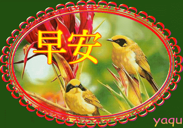 女性励志句子霸气 女性励志句子霸气