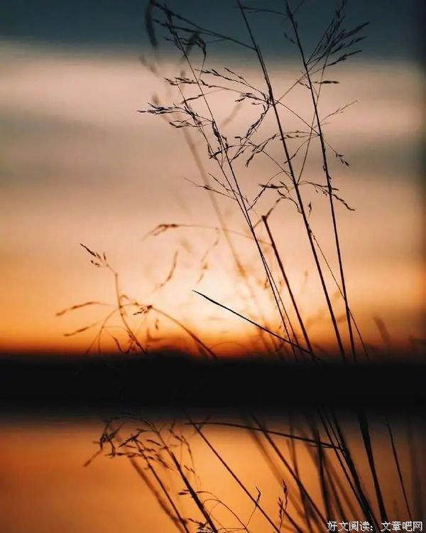 适合发表的心情的诗句