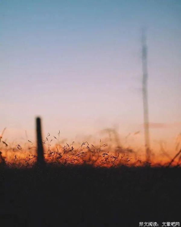 适合发表的心情的诗句