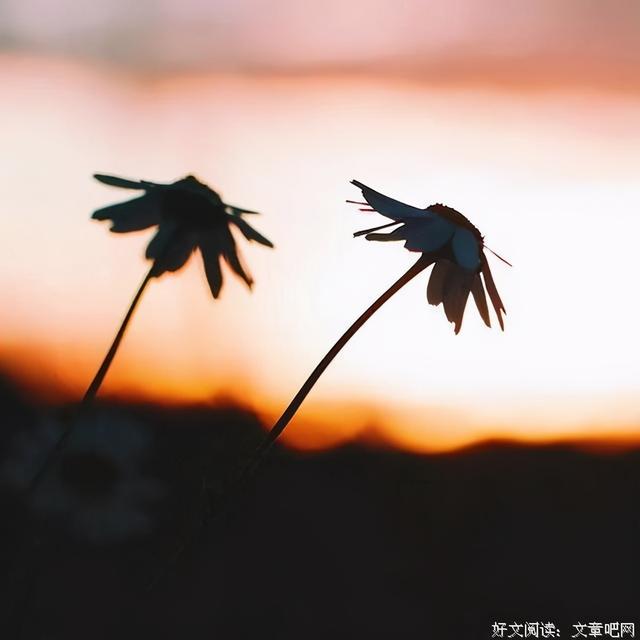 适合发表的心情的诗句