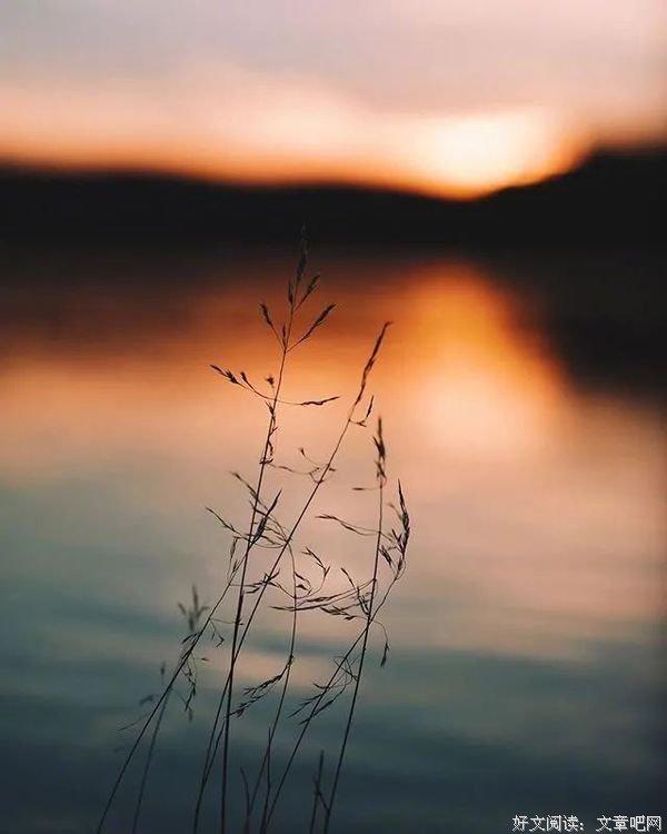 适合发表的心情的诗句