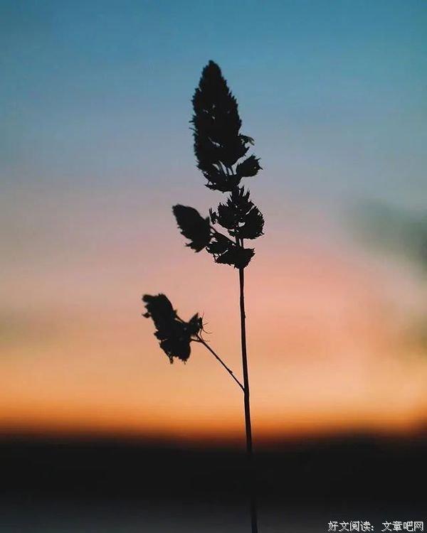 适合发表的心情的诗句