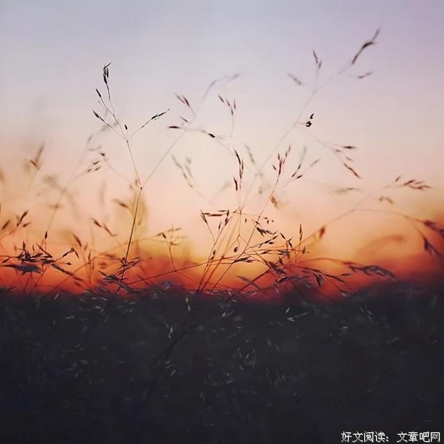 适合发表的心情的诗句