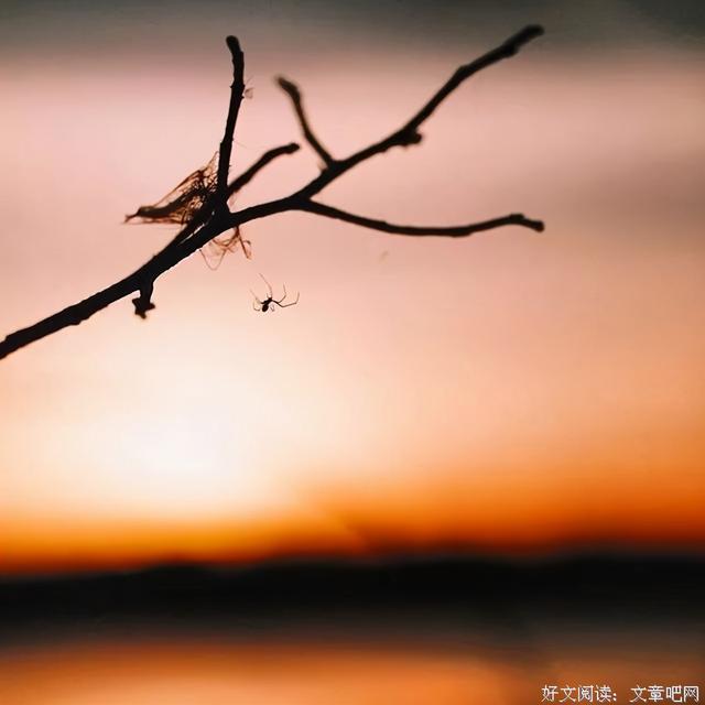 适合发表的心情的诗句