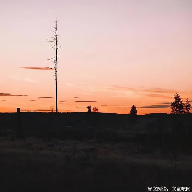 适合发表的心情的诗句