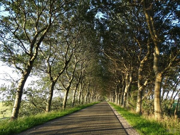 励志句子致自己