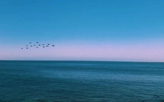 好句子摘抄 好句子摘抄