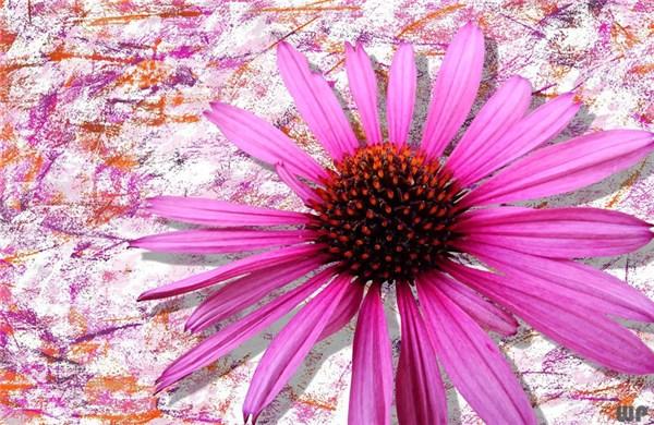 励志句子说说唯美 励志句子说说唯美