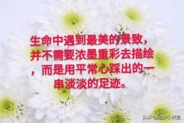 中学生金句 中学生金句