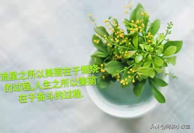 中学生金句 中学生金句