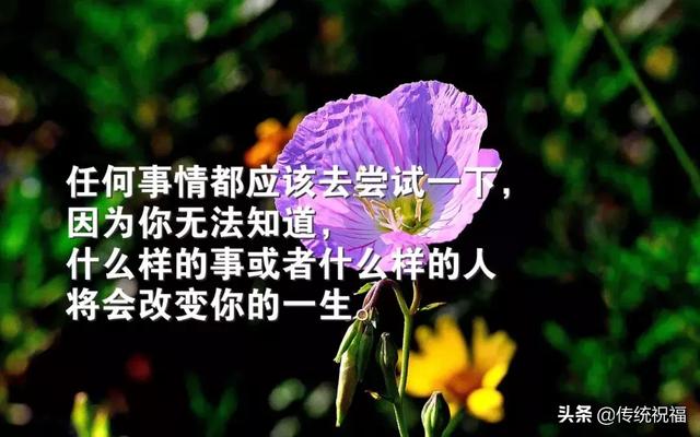 微商正能量句子