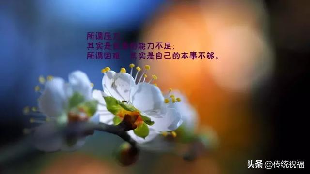 微商正能量句子