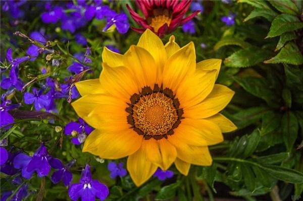 微信鸡汤语录 正能量