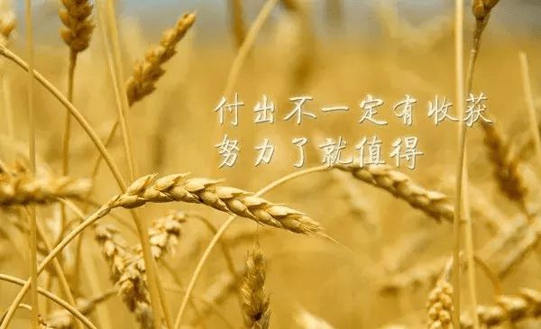 优美句子短句励志大全_(优美句子短句十个字)