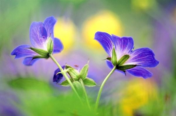 个性正能量的句子 个性正能量的句子