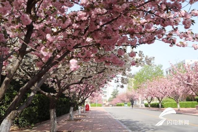 励志的句子加图