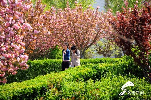 励志的句子加图