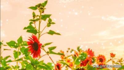 励志努力的文案 励志努力的文案