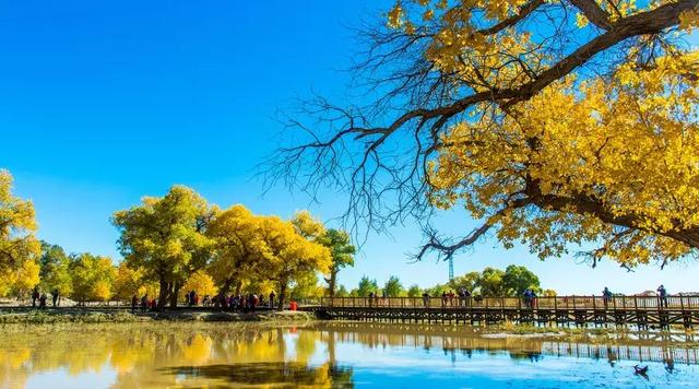 励志句子古风诗句