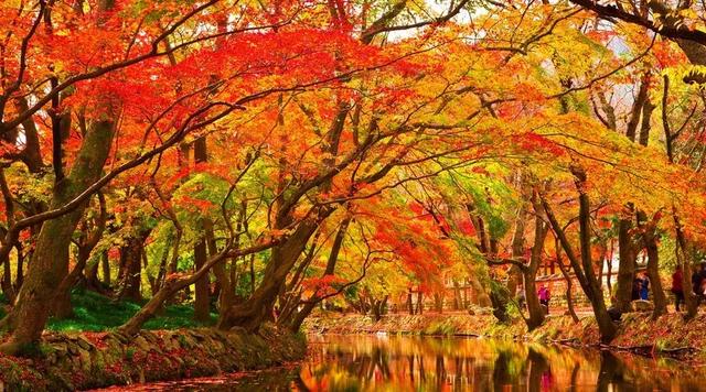 励志句子古风诗句