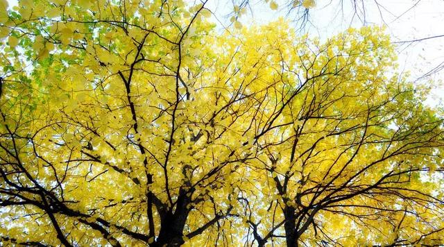 励志句子古风诗句