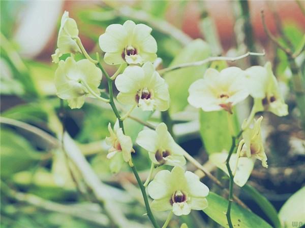 正能量句子唯美 正能量句子唯美