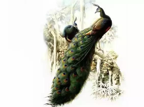 中国古代35句励志名言,独善其身,兼善天下