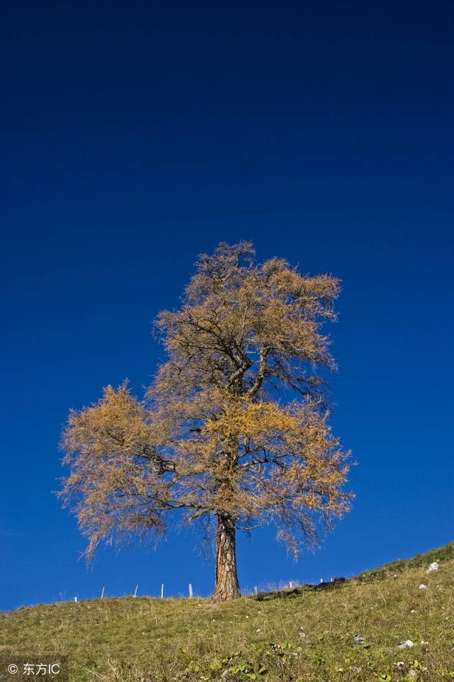 励志故事 正能量故事及感悟机会