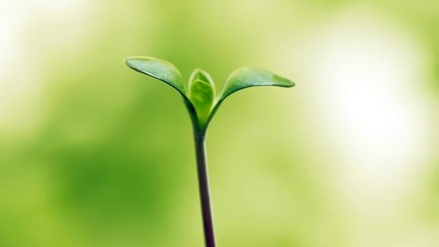 励志句子大全 正能量学生长句