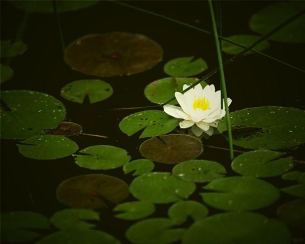 充满正能量的励志句子，致拼搏路上的自己